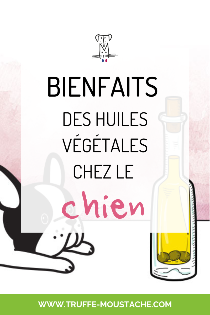 remède naturel chien diarrhée