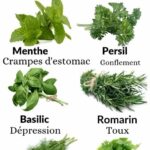 renforcer naturellement son immunité