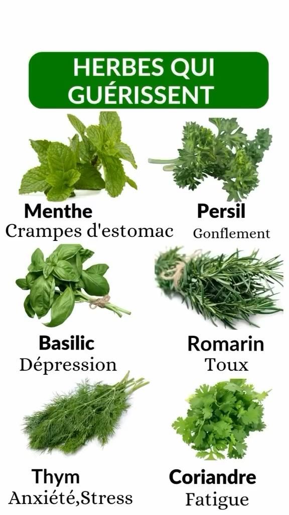 renforcer naturellement son immunité