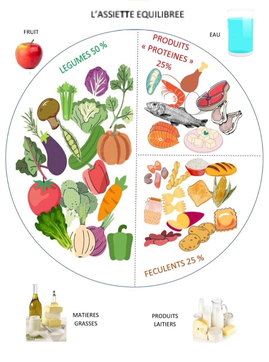 Études en alternance diététique