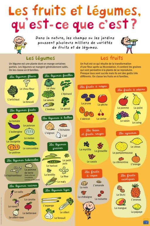 Études en alternance diététique