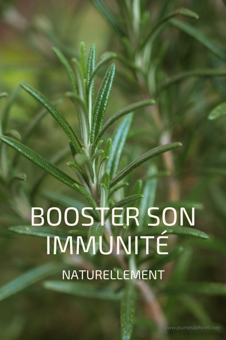 supplément immunité renforcement dos