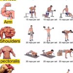 app musculation gratuite débutants