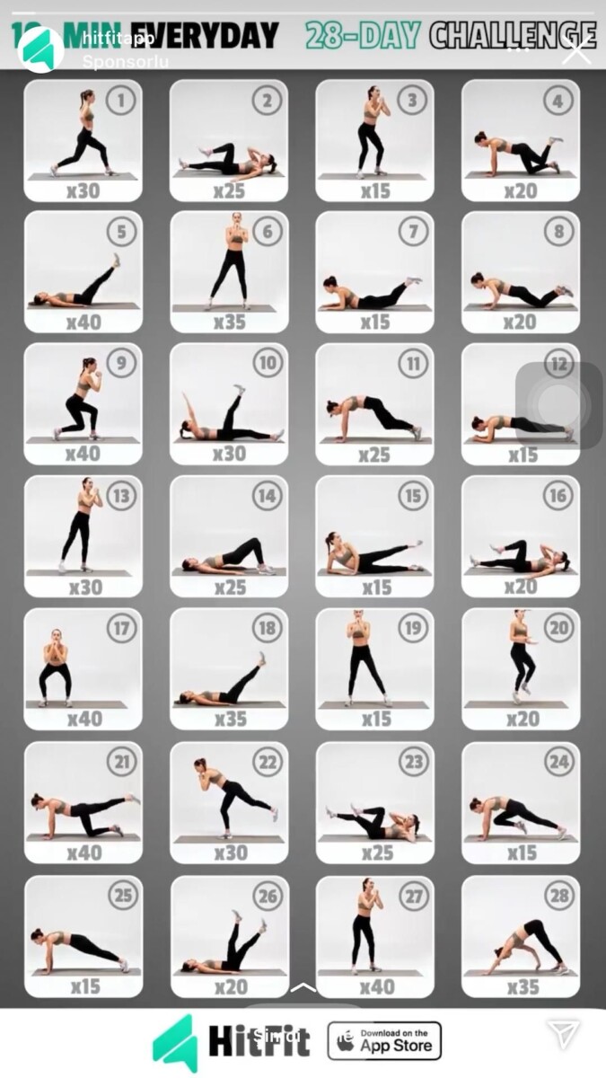 entraînement musculation débutant