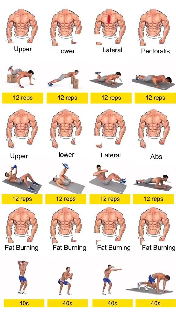 entraînement musculation débutant