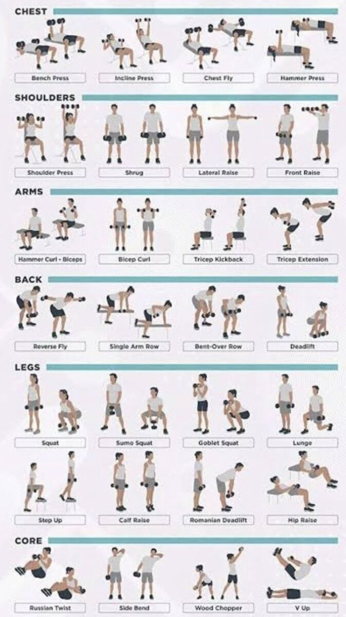 routine musculation 3 jours
