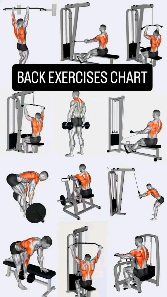 routine musculation 3 jours