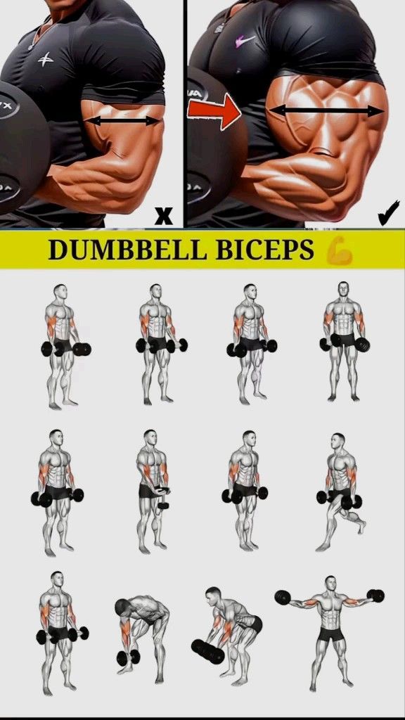 routine musculation 3 jours