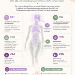 cbd interagit systeme